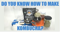 What Sugar And Tea Does a Kombucha Biofilm Prefer? Instructional Video
