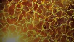 Friction Instructional Video