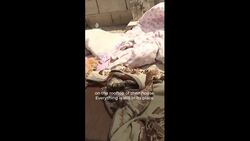 Israeli forces return body of Palestinian man an hour after his arrest Instructional Video