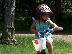 Describiendo a la materia y sus propiedades: la materia como masa Instructional Video