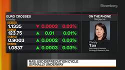 USD Depreciation Cycle Is Finally Underway, NAB Says News Clip