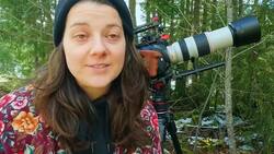 Anna's hummingbirds build tiny nests using moss and spiderwebs News Clip