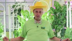 Stephen Ritz - The Power of a Plant Instructional Video