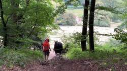 Shire horse pulls fallen tree trunks in Stourhead News Clip