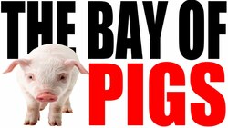 The Bay of Pigs Invasion Explained Instructional Video