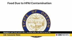 American pet food sold in B.C. recalled after cat dies of bird flu News Clip