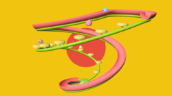 The Infinity Stairs Instructional Video