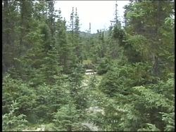 The Biosphere: Terrestrial Biomes Instructional Video