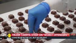 Trump tariffs: Higher 20% rate for EU impacts several industries News Clip