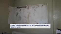 Bronx mother says yearslong issues of mold, water damage taking over her life News Clip
