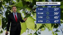 First week of spring brings sunshine and chilly conditions for NYC News Clip