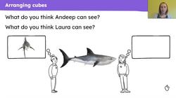 Examine ways that cubes can be composed into different arrangements Instructional Video