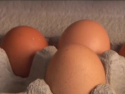 Introduction to Healthy Eating Habits Instructional Video