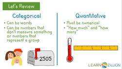 Interpreting Two-Way Frequency Tables for Categorical Data Instructional Video