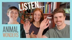 Guess The Animal By Sound! | New Keeper! Instructional Video