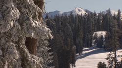 Study the Scientist: A Hydrologist Instructional Video