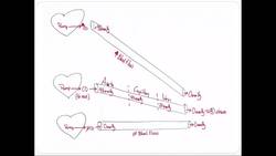 Factors Affecting Blood Flow and Vascular Resistance The Poiseuille Equation Instructional Video