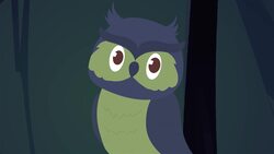 I WONDER - What Is A Nocturnal Animal? Me Pregunto - Qué Es Un Animal Nocturno? Instructional Video