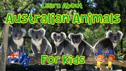 Learn About Australian Animals For Kids | Review Quiz | 4K Instructional Video