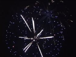 Making Observations: Introduction Instructional Video