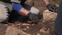 Unraveling the Mystery of Neanderthal Extinction: Exploring Factors and Unanswered Questions Instructional Video