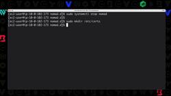 Getting Started with HashiCorp Nomad - Demo - Secure Nomad with TLS Instructional Video