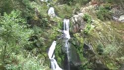 Triberger Wasserfälle im Schwarzwald Stock Footage