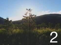 Exploring Energy and Heat: Video Review Instructional Video