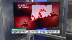 West Nile Virus found in mosquitoes across 34 Connecticut communities, no human cases yet News Clip
