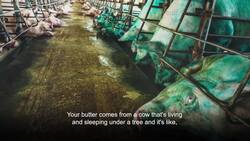 Xposure Photography Festival 2025 News Clip