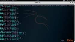 Bug Bounty Program Certification 6.5: Gather Machine User Login Credentials Instructional Video
