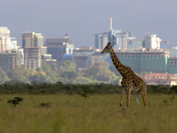 The Importance of Punctuality Instructional Video