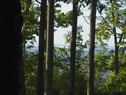 Competition and Adaptation in the Natural World Instructional Video