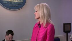 Conway vague on targeting of Iran's cultural sites Instructional Video