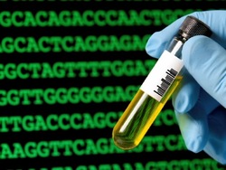 Investigando la herencia: herencia y ciencia Instructional Video