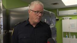 N.S. SPCA sees increase in seized, surrendered animals News Clip