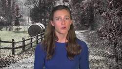 The General Election and Voting Process Instructional Video