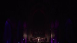 Celebrate St. Patrick: "The Salley Gardens" Performed in St. Patrick's Cathedral Instructional Video