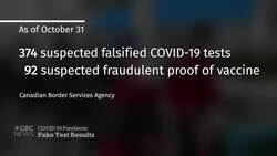 Fake COVID-19 credentials used by hundreds trying to enter Canada News Clip
