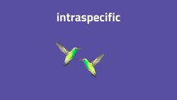 What Are Interspecific & Intraspecific Interactions Instructional Video
