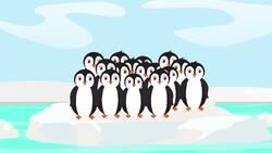 I WONDER - Why Do Birds Flock Together? Instructional Video