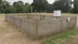 Kew Gardens Heatwave News Clip