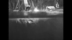 Footage shot by underwater camera of people swimming in pool in Ocala, FL News Clip