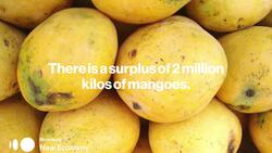 There Are Too Many Mangoes in the Philippines News Clip