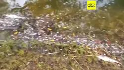 Zambia says mining area hit by acid spill safe from contamination News Clip