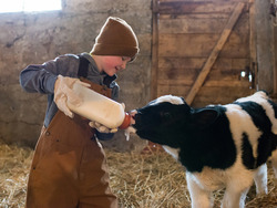 Pursuing Excellence and Inspiring Others Instructional Video