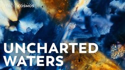 There's More Than Coral at the Coral Farm Instructional Video