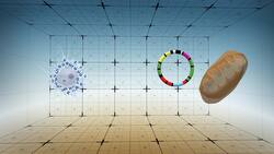 Scientists discover fish parasites that do not breathe: study Instructional Video