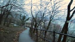 Pan shot of empty park road with bare trees and spooky moody environment. Cold winter season mood Stock Footage