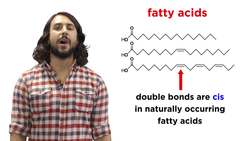 Lipids Part 1: TAGs, Fatty Acids, and Terpenes Instructional Video